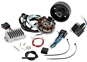 Lichtmagnetzündanlage 12V 100W mit integrierter vollelektronischer Zündung für ES125, 150, ETS125, 150, TS125, 150