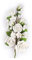Large White Rose Sugar Flower Anniversary Wedding Cake Spray Topper Bridal