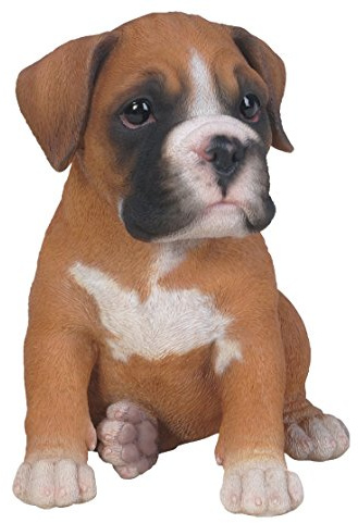 Vivid Arts Pet Pals - Boxer Puppy