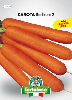 Sementi orticole di qualità l'ortolano in busta termosaldata (160 varietà) (CAROTA BERLICUM 2)