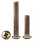Nodrest 3/4/10pcs M2 M2.5 M3 M4 M5 M6 Brass Cross Round Head Screw Copper Pan Head Screw Bolt(10mm,M3-10pcs)