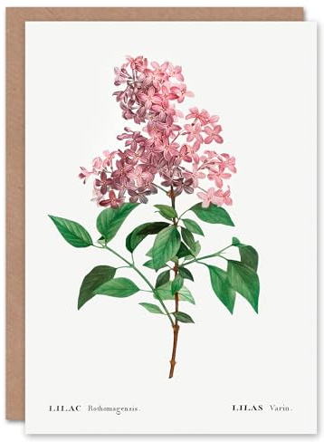 Artery8 Pierre-Joseph Redouté Art Card Chinese Lilac Vintage Floral Illustration