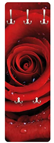 Bilderwelten Rosen Garderobe - Rote Rose mit Wassertropfen - Blumenbild Rot, Größe HxB:105cm x 34cm