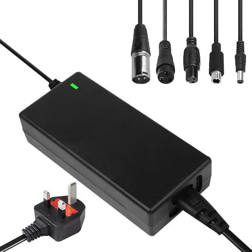 Vmxlso 29.4V 2A Electric Scooter Charger, Electric Scooter Charger for 24V Lithium Battery, with 5 Connections, 29.4V 2A Lithium Battery Power Supply Charger for Balance Bike, Electric Scooter