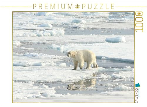 CALVENDO Puzzle EIN Motiv aus dem Kalender Eisbären - Könige der Arktis | 1000 Teile Lege-Größe 64 x 48 cm Foto-Puzzle für glückliche Stunden