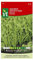Chicorée scarole Endivette Graines