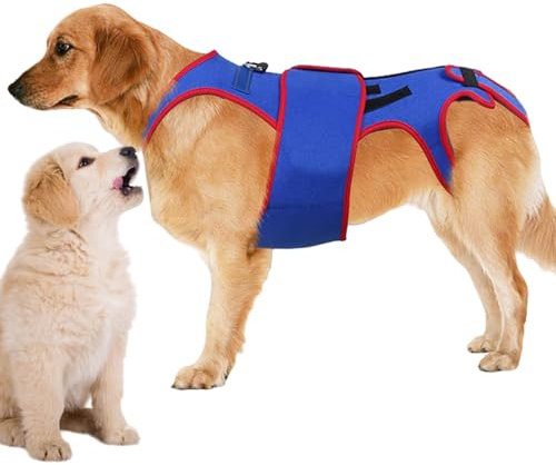 Hunde Rückenbandage Haustier Stützgeschirr Hund Rückenschutz Stützgeschirr für Hunde Hunde Rücken Reflektierend Hundegeschirr Hunde Rückenstützgeschirr Stützgeschirr für Hunde