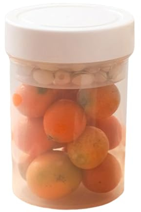 Rrlihjgu Pot À Salade,750ml Bols Étanches Portables À Double Couche,Pots À Salade Avec Coupe À Sauce | Pour Le Salon L Étagère Les Bureaux Le Bureau La Maison Intérieur