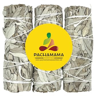 Organic California White Sage Smudge Bundles Sticks 4-5 (3) Premium