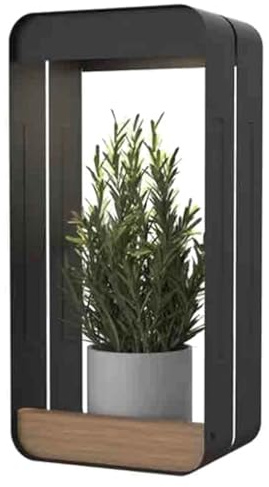 VFM e-Store - Applique murale solaire et pot de fleurs blanc chaud - Accessoires de camping et de voyage pour l'été - 16 cm x 34 cm - Blanc