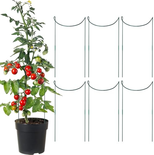 fayarrd Rankhilfen für den Innenbereich, 6 Stück Rankhilfen für Kletterpflanzen und Gartenblumen, Halterung für Kletterstäbe, rostfrei, aus Metall, Gartenzubehör für Zäune, Weinreben und