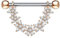 beyoutifulthings ZIRKONIA-Blumen Bogen Brustwarzen-Piercing Brust-Piercing Intim-Piercing Edelstahl Roségold Clear Stab 1,6mm 14mm