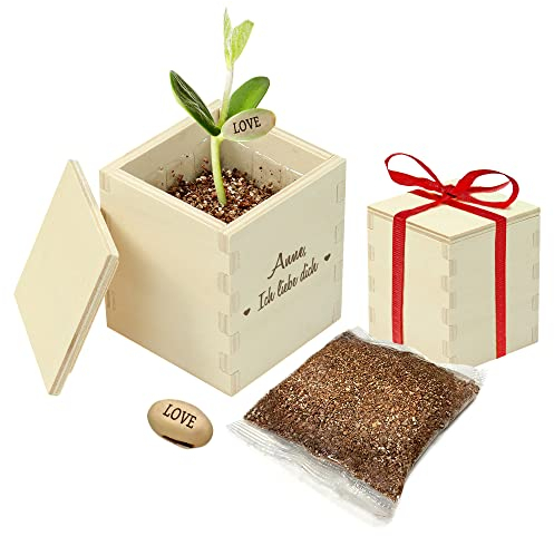 Casa Vivente Zauberbohne mit gravierter Holzbox, Ich Liebe Dich, Personalisiert mit Namen, Pflanze mit Botschaft Love, Inklusive Anzuchtset