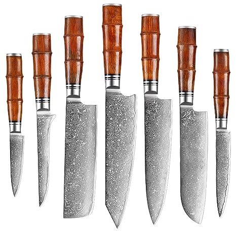 FBITE Coltello in acciaio damasco Coltello Santoku da chef giapponese Coltello Santoku a 67 strati VG10 Mannaia con anima in acciaio