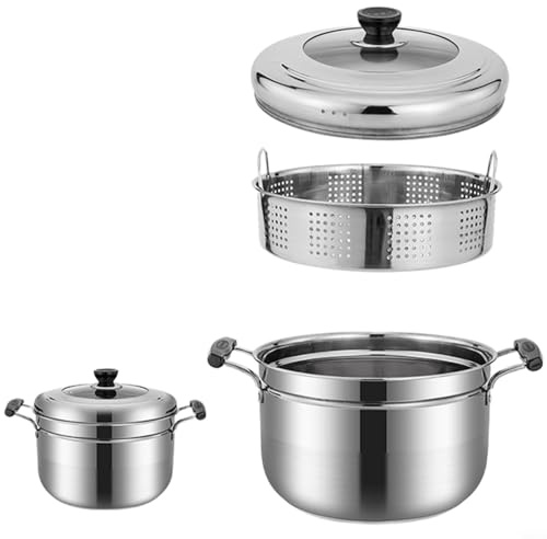 BEAZOOM Dampfgarer im japanischen Stil aus Edelstahl mit Glasdeckel, dicker Boden, Kochtopf für Gas- und Elektroherde, 22 cm, Silber