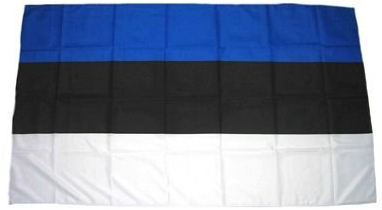 Fahne Stockflagge Estland NEU 30 x 45 cm Flagge
