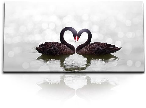 Paul Sinus Kunstdruck Bilder 120x60cm Schwarze Schwäne Pärchen Herz Herzform See