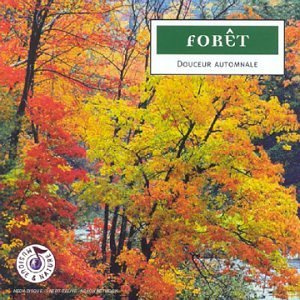 Forêt : Douceur autommale