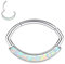 AROWRO 16G Septum Schmuck Daith Helix Ohrringe Chirurgenstahl Septum Ringe Septum Clicker Oval Nasenringe 10mm Daith Rook Helix Piercing Schmuck Silber Knorpel Ohrring Hoop Weißer Opal