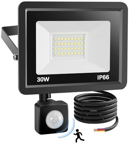 YAMYONE 30W Security Lights Outdoor Motion Sensor, PIR LED Floodlight 2700LM IP66 Waterproof, 6500K White Daylight for Warehouse Playground Backyard Garden (30W-Black)
