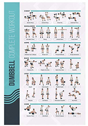 PosterMate - Fitness Poster für Gymnastikball & Hanteltraining - 42 x 63 cm - perfekte Übersicht - professionelles Bodybuilding Poster zum Training - Geeignet für Mann, Frau, Homegym & Sport