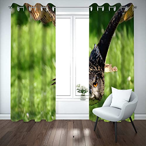 LGCK Vorhänge Verdunkelungsvorhang Kinderzimmer Waldtier Eule 140x160cm 3D-Druck Ösen Gardinen Wärmegedämmt Blickdichter Vorhang Für Jungen Mädchen Kinder Schlafzimmer Spielzimmer