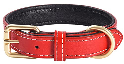Echtes Leder gepolstertes Hundehalsband Bequemes, Starkes, weiches Halsband für kleine, mittelgroße und große Rassenhunde （Rot）(S)