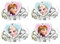 Frozen Favour Tiaras /4