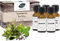 Saunabedarf Schneider - Aufgussset Feel Free 5 x 20 ml Inhalt - blumig-erdiger Saunaaufguss - wohltuender Mix