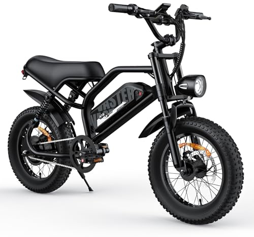 AVDLEU E-Bike Elektrofahrrad mit Tretunterstützung bis 25 km/h, Scheibenbremsen, LED-Licht, Display, für Alltag und Arbeitsweg