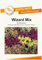 Blumensamen Wizard Mix Buntnessel Portion