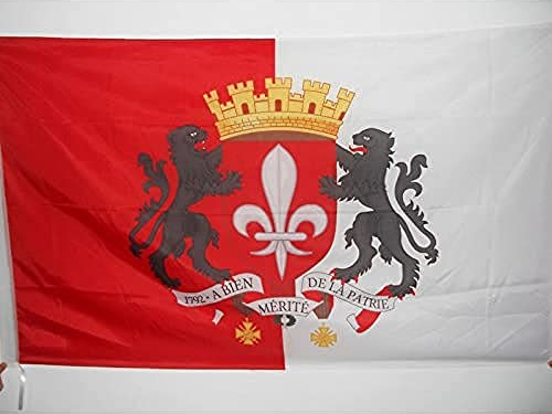 AZ FLAG - Drapeau Lille avec armes - 90x60 cm - Drapeau Lillois Avec Armoiries 100% Polyester Avec Fourreau et Cordelette - Pavillon 50 g