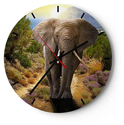 Modern Wanduhr Tiere Afrika Elefanten Spaziergang 30x30cm Rund Klein Wand Uhr Glas Analog Zimmeruhren Küche Büro Wohnzimmer Glasuhr Wall Clock Dekoration Design Wanddekoration Küchenuhr C3AR30x30-2708