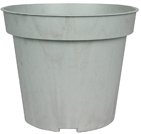The HC Companies Biopax Topf (6 Stück) in Ecogreen, 11,4 x 11,4 x 8,9 cm