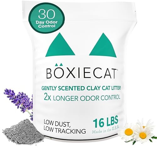 Boxiecat Gently Scented Premium Clumping Clay Cat Litter, 16 lb