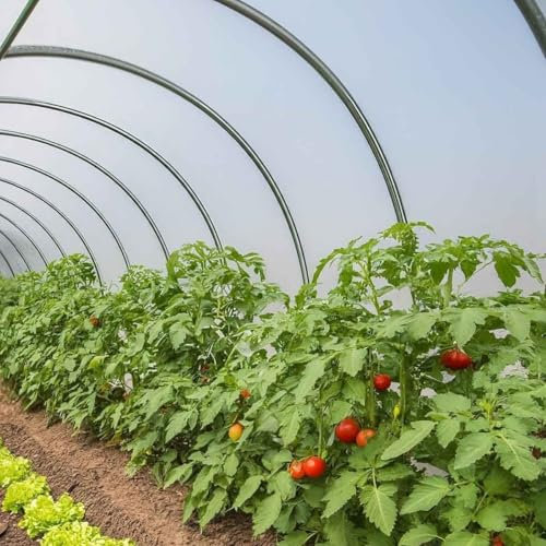 TECPLAST Bâche Serre 3x10 m 150SE - Film plastique transparent pour serre de jardin - Haute Qualité - Made in France