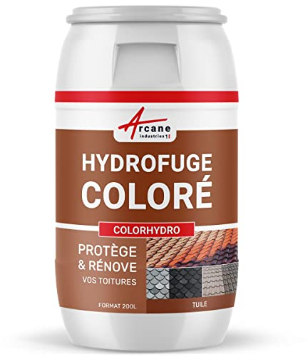 Hydrofuge Toiture Coloré - Imperméabilisant Tuile - COLORHYDRO 200 L - Tuile - RAL 8004 - ARCANE INDUSTRIES