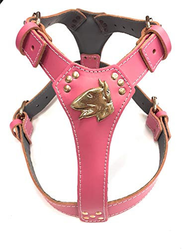 Schönes Hundegeschirr aus Leder, Motiv: English Bull Terrier