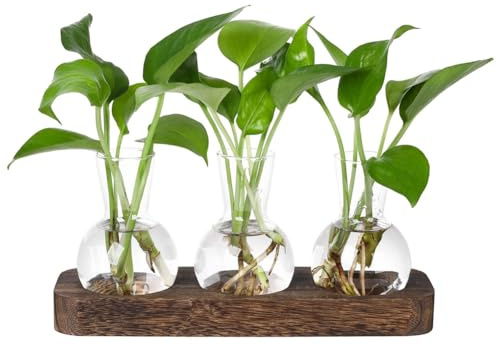 NONDK Plants Propagation Stations Glass Vase Station Retro Plant Terrarium with Wooden Tray Bulb Flower Vase Home Office Decor, Easy to Use Fine Workmanship