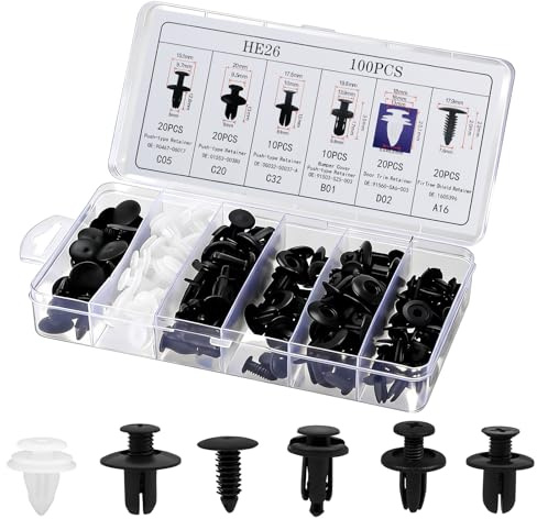 100Pcs Car Retainer Clips Kit - 6 Most Popular Sizes Auto Push Pin Rivets Assortment. Bumper Fender Door Trim Panel Plastic Fasteners for GM Toyota Honda Nissan (100Pcs)