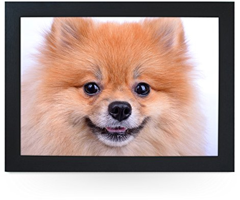 Portable Lap Desk Tray (Pomeranian Dog Close Up) Handmade Wooden Frame, Beanbag Cushioned Bottom | Computers, Laptops, Meals, Food | L0200 Black