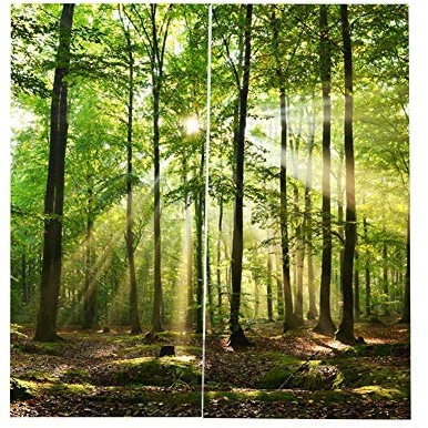 Zerodis Vorhang,Wälder Sonnenlicht Druck Schattierungsvorhänge Verdunkelungsvorhänge Dekorative Tenda für Balkon Schlafzimmer Wohnzimmer Fenster(170 * 200cm)