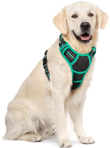 rabbitgoo Dog Harness Large Dog, No Pull Vest with Front Clip & Handle | No Choke, Adjustable, Breathable Padded, 2 Lead Rings, Reflective, Easy Control for Walking Training, XL, Black & Mint