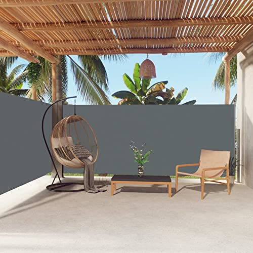 Bulliing Auvent latéral rétractable Anthracite 160x600 cm,Parasols Et Stores pour Patio,Parasol pour Balcon,Coupe Vent Terrasse