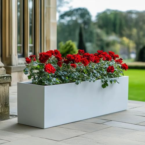 Tulipy 1.2m/1m/75cm/70cm Zinc Galvanised Trough Planter | No Assembly Needed | Lightweight (Matte White, L75cm x W32cm x H32cm)