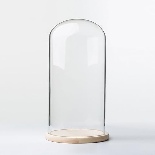 CQCQC Cloche en Verre avec Base en Bois, diamètre 20 cm. Cloche en Verre avec Base en Bois Massif for Exposer Plantes, Ornements et Figurines.(20 * 35cm)