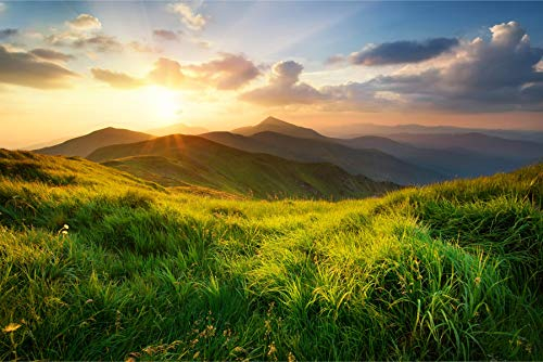 Muralo Selbstklebende Fototapete 360 x 240 Natur Berge Landschaft Tapete Panorama Felsen Steine Wald Wohnzimmer Schlafzimmer Wandbilder XXL Wand Br. 360 cm x Hö. 240 cm