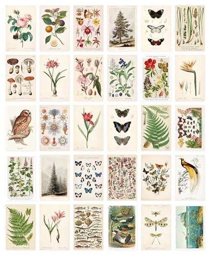 Wintertime Crafts Nature Collection Postcard Set: Pack of 30 Retro Style Botanical, Nature and Birds Postcards