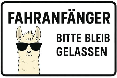 Fahranfänger Aufkleber 20×12 cm – Anfänger Schild Auto, wetterfester Rückstandsfreier Sticker für Führerschein Geschenk, Hinweis Aufkleber Beginner (Fahranfänger)