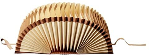 Leitz 56310000 Schriftenordner 1-31, 31 Fächer, Graupappe, braun